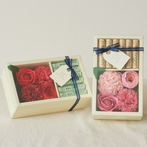 아스파시아 코라 카네이션 용돈박스 + 메세지픽 2세트, 레드, 핑크