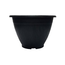 멀티아이 블루베리 화분 500