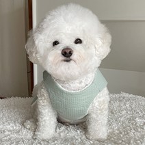 바이담수미 강아지 털누비 배자, 민트