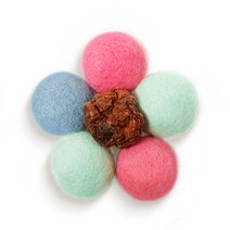 스탠바이미 양모볼 5p + 동결건조 마따따비 열매 세트, 랜덤발송(양모볼), 1세트