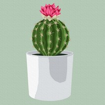 플레이어바웃 명화 그리기 DIY 세트 꽃 선인장 피포페인팅 20 x 20 cm, 혼합색상