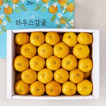 감귤상회 당도선별 하우스 감귤, 1박스, 3kg
