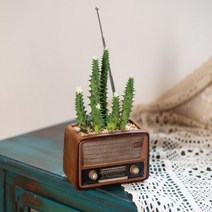 FTSY 레트로 라디오 화분, 다크 브라운, 1개