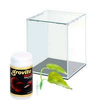 그로비타 베타 기르기 올디아망 하이큐브 15 + 침대 + 사료 세트, 1세트