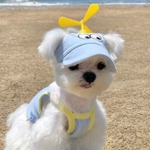 에이미러브즈펫 반려동물 BA 무지개빙글이 빙글이썬캡, 블루