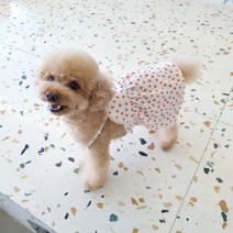바이굄 반려동물 꽃송이 호박 바지, 레드