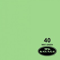 세비지 종이 롤 배경지 HALF, 40-1253(40 Mint Green), 1개