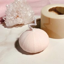 앵글띵 리얼 말똥성게 입체형 실리콘 몰드