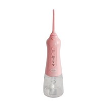 데일리프렌즈 휴대용 구강세정기 300ml, WF20(핑크)