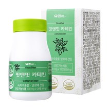 유한메디카 핏앤핏 카테킨 60g, 120정, 1개
