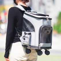 칠시 반려동물 캐리어 겸용 백팩, 그레이