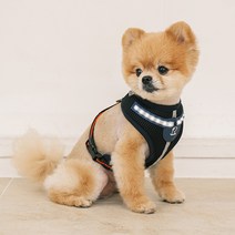 리얼펫 화이트 LED 하네스 강아지 외출 가슴줄, BLACK