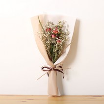 로맨틱노벰버 네추럴 무드 드라이플라워 레드벨벳and안개 꽃다발, 혼합색상