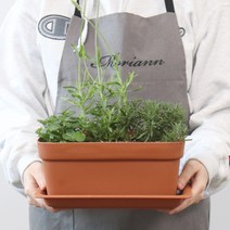 모리앤 초화박스 4p + 화분 받침 4p, 라이트브라운