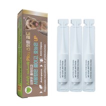 필루 소형견 심장사상충 예방 스팟온 골드, 1ml, 3개