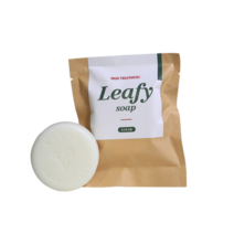 비비르 정돈 리피솝, 66g, 1개