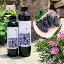 농부프린스 오디청 오디원액 오디즙 오디효소 오디액, 1, 500ml