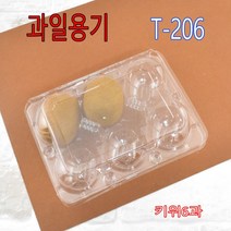 SB-206 과일용기 키위6과용기 키위용기 다래용기 일회용다래용기 골드키위용기 일회용키위용기 600개