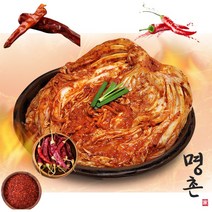 대전선화동 실비김치 명촌가 매운김치, 5kg