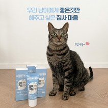 바르는 치약/닭고기맛/치석/구취제거 덴탈