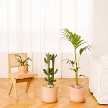 나무플랜트 겐차야자 이태리토분 인테리어식물 거실화분, 대형토분, 1개