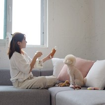 강아지 반려동물 오줌냄새제거제 살균소독 스프레이 4종 1000ml, 라벤다향