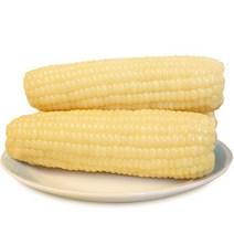 <천룡무역>가장 맛있는 [프리미엄] 냉동 백찰옥수수 백찰 중 14-16cm 20개 30개 70개, 70개(16kg이상)” class=”wr-img”></a></div></div></div></div><div class=