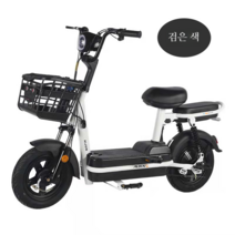 전기 스쿠터 바이크 48V 출퇴근 전기자전거 배달, 12AH, 블랙   22A 리튬 배터리  160 마일의 수명