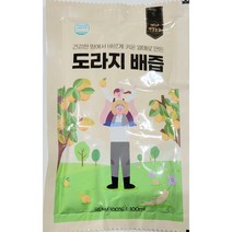 건강 도라지 배즙, 1개, 100ml
