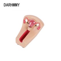 인체모형 DARHMMY 여성 자궁 피임 장치 모델 IUD 훈련 시뮬레이터, 한개옵션0