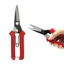 다용도 꼭지가위 원예 조경 화분 화초 정원 나무 과수원 과일꼭지 가위 원예가위 꽃가위꼭지가위 과일가위 원예가위 과수원과일 과일꼭지따기 귤따기체험 조경 화분가꾸기 포도따기 포도가위, 꼭지가위202, 1개