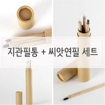 GJW28F172 n 거실 키우기쉬운식물 세트 씨앗연필 화분 인테리어식물 지관필통 거실인테리어 인테리어 싹이나는 식물인테리어 실내식물 미니 실내 펜/펜리필 방울토마토 외 4가지옵션, 도매프리 바질