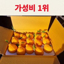 (구매수 1위)제주 한라봉 3kg 5kg 10kg 벌크 가정용 선물용