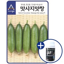 아시아종묘 오이씨앗종자 맛사지맛짱오이(500립)+루터100ml 증정