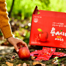 용서리 사과즙 100% 사과쥬스 안동사과주스, 6000ml, 2개