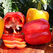 혼합 과일파프리카 파프리카농장 2.5kg 5kg 파프리카쥬스, 1박스