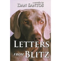 Letters from Blitz Paperback, Daniel Santos, Jr.