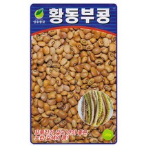 성우 황동부콩 씨앗 30g, 1개