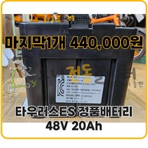 타우러스ES 전동스쿠터 정품 배터리 48V 20Ah