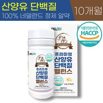 단백질보충제알약 추천 BEST 인기 TOP 80
