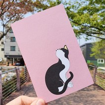 전통민화 꽃분홍색 묘작도 고양이 디자인 엽서 감성 인테리어 디자인 소품 굿즈, 단일제품