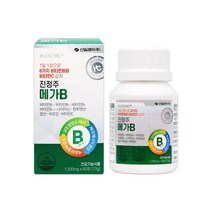 진정주 메가B(60정), 1통