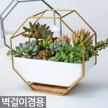 금색 철제 벽걸이 겸용 고급 화분세트 - 화분 다육이 선인장 식물 벽화분 인테리어, Sein_벽걸이팔각화분세트(골드)