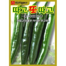 안매운 고추씨앗 (30립)