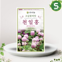 솔림텃밭몰 다농 왜성천일홍씨앗 100립 분홍색 천일홍씨앗 꽃씨앗, 단품