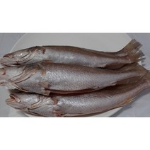손질 반건조 냉동 민어조기 영상가이 석태 30cm이상 제수용 및밥반찬, 3마리, 3개