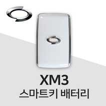 XM3 스마트키 건전지 차키 배터리 밧데리 약, 3개