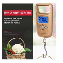 손저울 디지털 여행용 주방용 휴대용 캐리어 디지탈, 저울WH-A17L 블랙