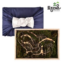 [토종마을] 국내산 산양삼5뿌리세트 (8년근), 1개
