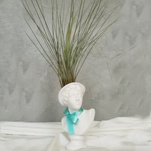 아트박스/모리아트 대만여인 석고상화분 틸란드시아 준세아+모스+리본, 아그리파